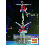 Grande Fete Lilloise Du Cirque Programme 2019